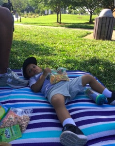 playground picnic