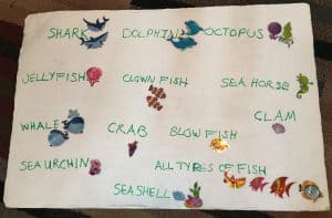 Sea Sticker Sorting