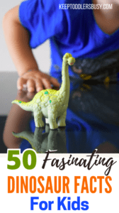 This is the Absolute BEST List of Dinosaur Facts for Kids! These are fun and interesting facts for kids of all ages all about the world that is dinosaurs.