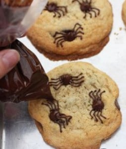 spider cookies