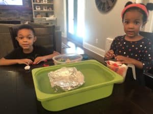 These Toddler Science Experiments will be ideal for preschoolers and toddlers and include dye toddler science experiments as well as more simple toddler science activities