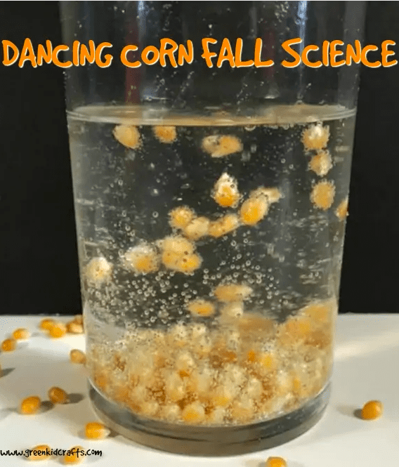 Dancing Popcorn Experiment